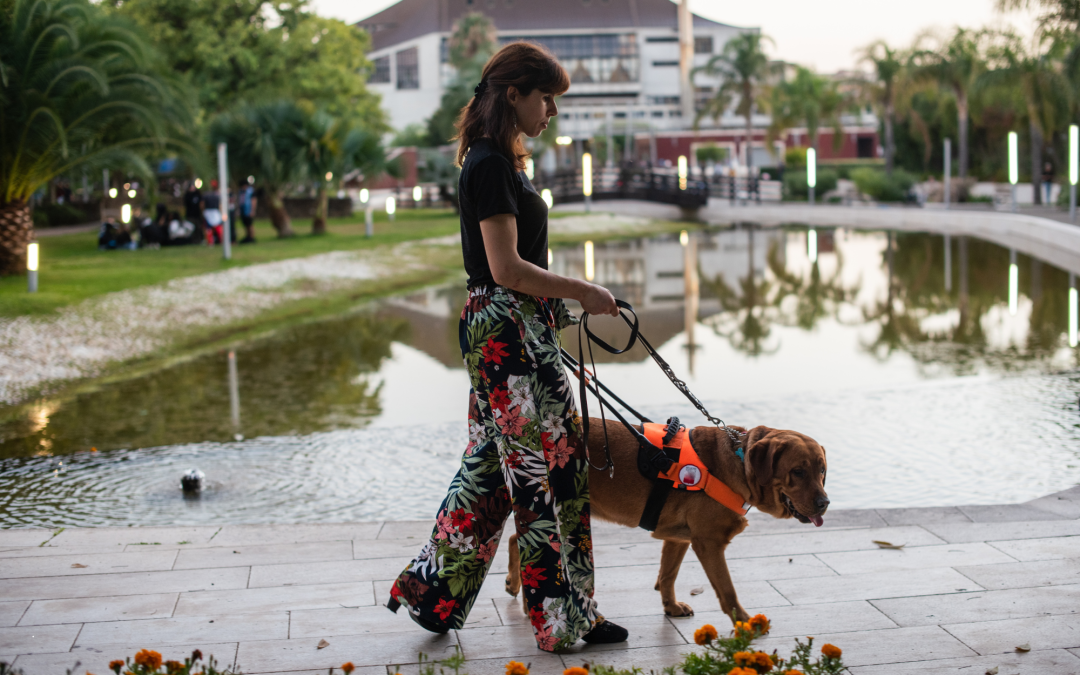 How Service Dogs Help People with Disabilities: Beyond Guide Dogs