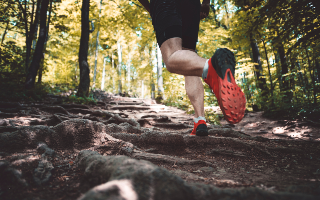 Trail Running: How to Transition from Pavement to Path